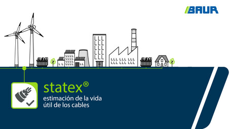 Cálculo de la vida útil residual con statex | BAUR GmbH